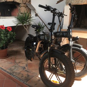 Noleggio e-bike